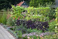 Cottage garden in late summer with kale and wild garlic as border, Brassica oleracea Redbor, Allium senescens, Lagenaria siceraria 