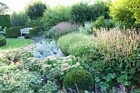 Perennial bed in late summer with Thuja hedges and perennial bed with Sedum Herbstfreude, Artemisia ludoviciana Silver Queen, Persicaria amplexicaulis Rosea 
