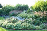 Perennial bed with Sedum Herbstfreude, Artemisia ludoviciana Silver Queen, Persicaria amplexicaulis Rosea, Kalimeris incisa 