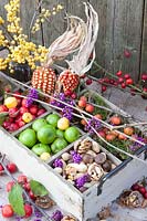 Box filled with berries, nuts, ornamental apples and rose hips 