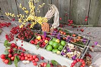 Box filled with berries, nuts, ornamental apples and rose hips 