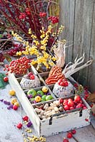 Box filled with berries, nuts, ornamental apples and bird seed cakes 