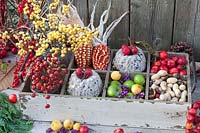 Box filled with berries, nuts, ornamental apples and bird seed cakes 