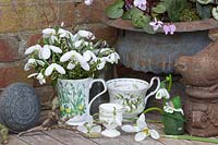 Decoration with snowdrops, Galanthus 