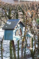 Birdhouse and bird food 