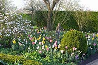 Spring garden with bulb flowers and Easter snowball, Viburnum burkwoodii 