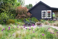 Prairie garden with ornamental allium and feather grass, Allium Purple Sensation, Nasella tenuissima 