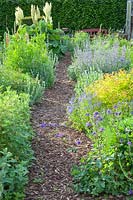 Bed with herbs and perennials 