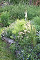 Bed with perennials and herbs 