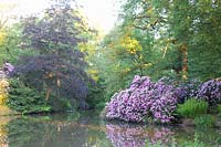 Landscape garden with rhododendron 