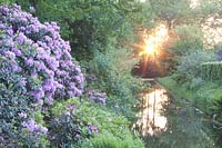 Landscape garden with rhododendron 