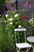 Seating on the terrace with roses and sweet peas, Rosa, Lathyrus odoratus 