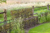 Wildflower meadow with willow bench, Leucanthemum vulgare 