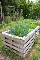 Raised bed made of pallets with onions and carrots, Allium cepa, Daucus carota 