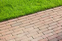 Lawn and brick path 