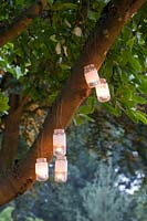 Lanterns in a tree 