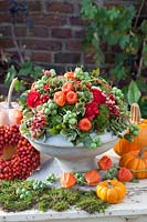 Autumnal arrangement with roses, moss, Chinese lantern flowers and false bryony, Physalis alkekengi, Diplocyclos palmatus 