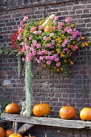 Wall basket with balcony plants and pumpkin 