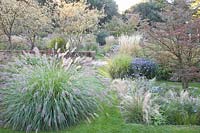 Autumn garden with fountain grass, reed grass, feather grass, Pennisetum alopecuroides, Nasella tenuissima, Calamagrostis acutiflora Karl Förster 