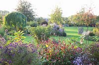 Garden in autumn with perennials, pagoda tree and ornamental apple trees, Sophora japonica Pendula, Malus Evereste 