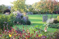 Garden in autumn with perennials and ornamental apple trees, Malus Evereste 