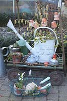 Still life in winter with watering can 