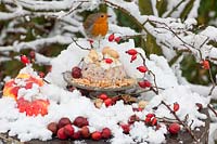 Small bird feeder cake with robin 