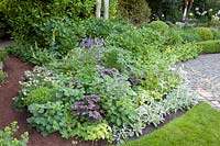 Shade bed with ornamental foliage plants 