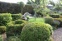 Mediterranean garden with bench and topiary 