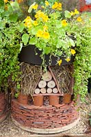 Insect hotel with nasturtiums and herbs, Tropaeolum majus 