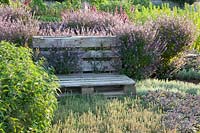 Pallet bench in the herb garden, Thymus citriodorus variegata Mystic Lemon, Ocimum x hybrida Magic Blue, Salvia officinalis Purpurascens Purple Mantle, Aloysia triphylla 