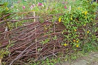 Rustic Willow Fence 