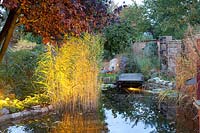 Illuminated garden pond in autumn 