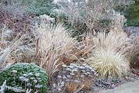 Bed with grasses in frost 