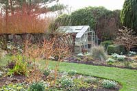 Rural garden with greenhouse in winter, Salix alba var.vitellina Britzensis; Cornus sanguinea Midwinter Fire 
