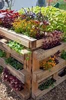 Herb garden made from recycled pallets 