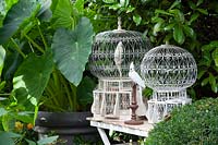 Vintage bird cages as garden decoration 