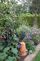 Small vegetable garden, Monarda citriodora Bergamo, Cleome spinosa, Lablab purpureus 