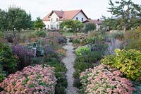 Perennial bed in late summer 