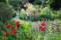 Bed with drought-tolerant perennials 