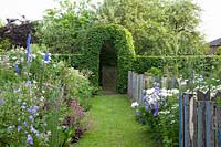 Country house garden with beech hedge, Fagus sylvatica 