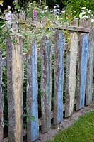 Fence made of old boards 