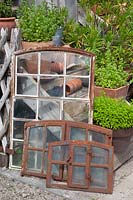Old stable windows and mint in pots 