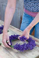 Make a wreath from lavender, Lavandula angustifolia Hidcote Blue Make a wreath from lavender, Lavandula angustifolia Hidcote Blue 