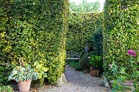 Hedges in formal garden, Fagus sylvatica 