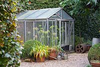 Greenhouse in autumn 