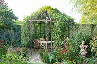 Seating area in an arbor with pear espalier, Pyrus domestica 