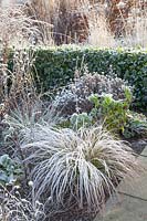 Perennials and grasses in frost 