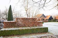 Beech hedge and box hedge in winter, Fagus sylvatica, Buxus 