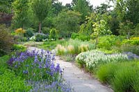 Garden with perennials and grasses 